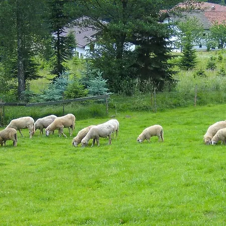 Reindlhoeh Pensjonat
