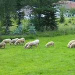 Reindlhoeh Vendégház