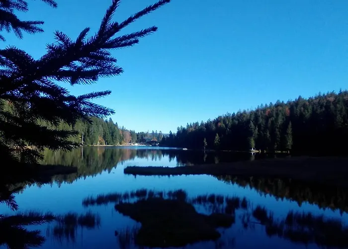 Reindlhoeh بيت ضيافة 3*